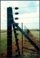 /album/galerie-foto%3a-acas%c4%83/commercial-farm-jpg/