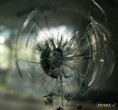 /album/galerie-foto%3a-acas%c4%83/a80c0d00f181c3772cc9f5fbc08198e36-jpg/